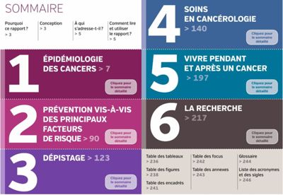 Image les cancers en France 2016