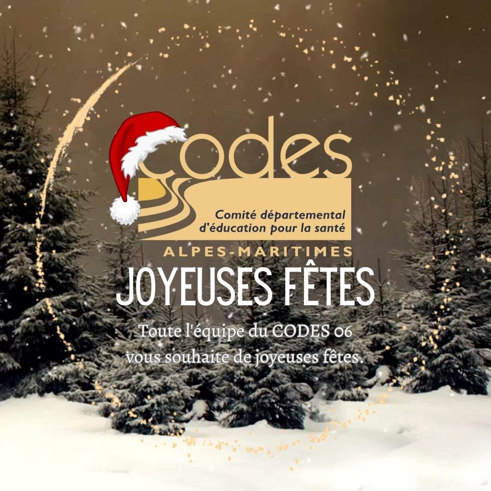 Joyeuses fêtes de fin d'année !